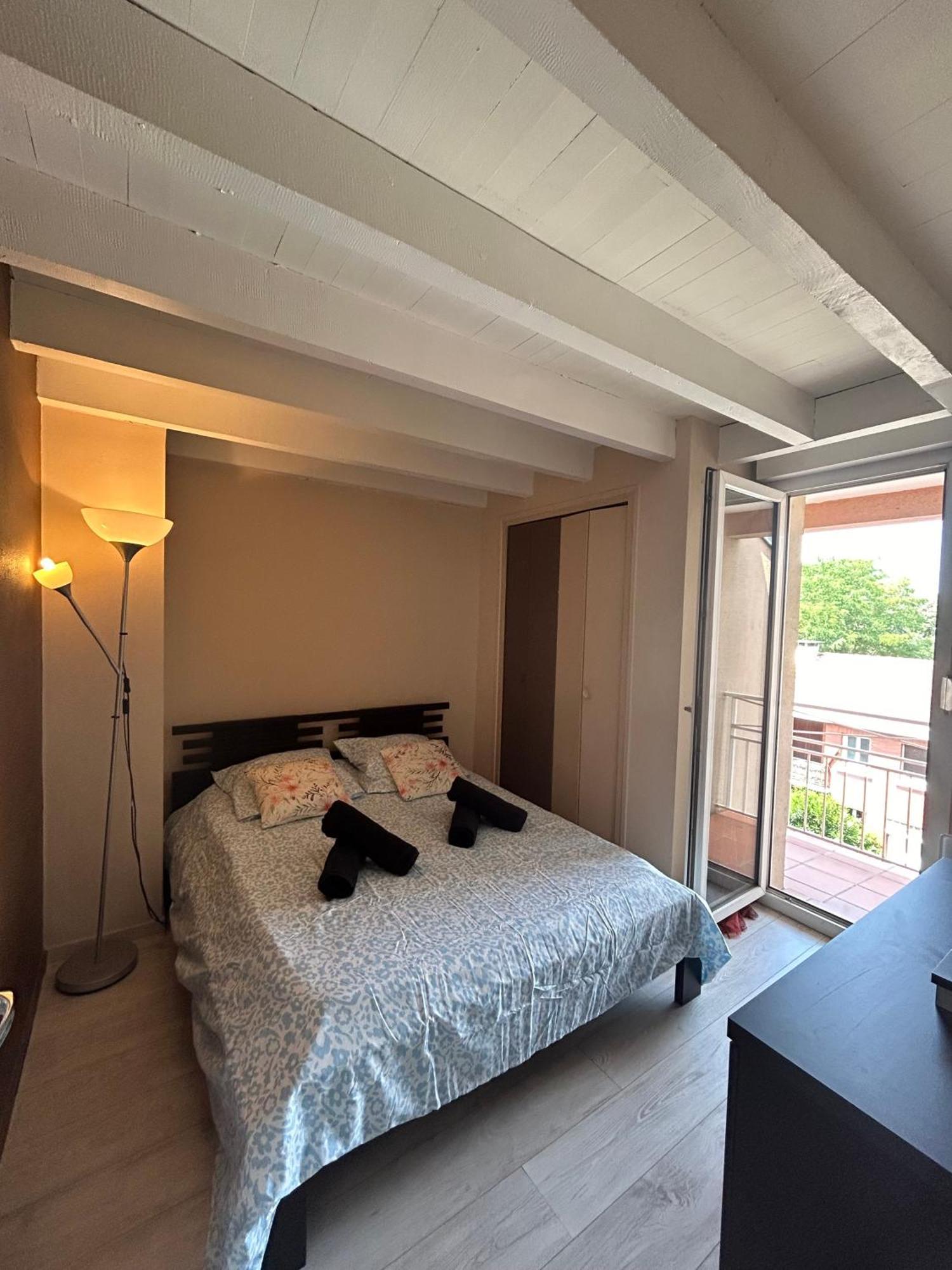 Le Venasque Avec Terrasse - Climatisation Apartman Toulouse Kültér fotó